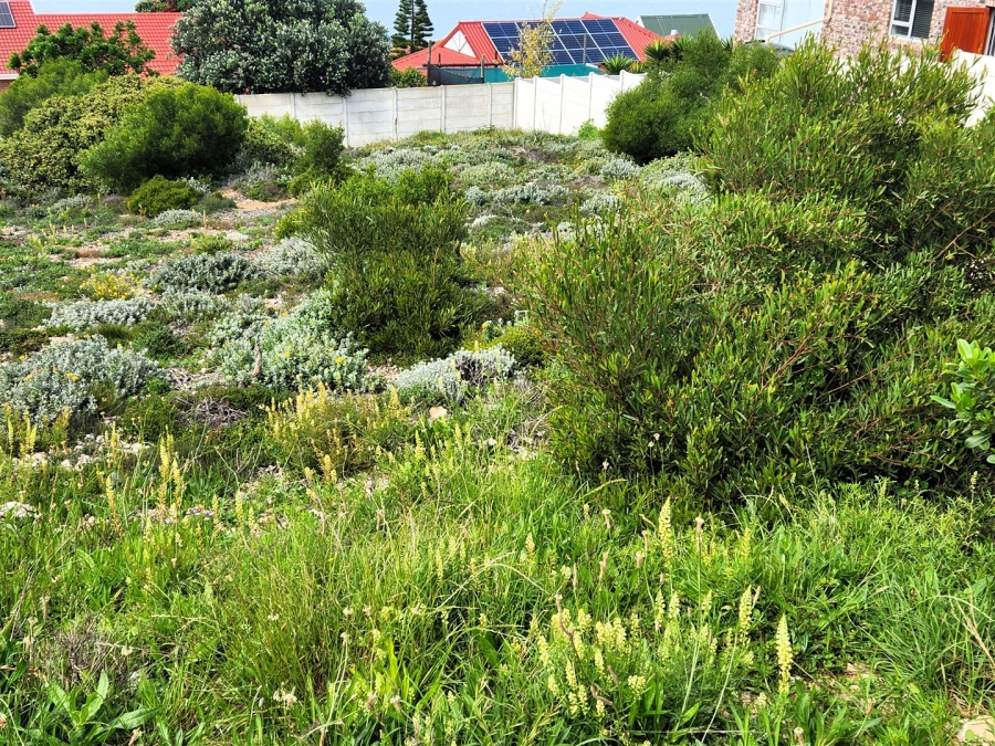 0 Bedroom Property for Sale in Dana Bay Western Cape